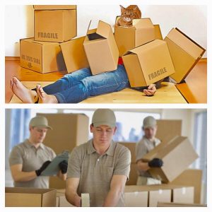 House Packing Service by Professionals